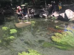 -水磨沟公园