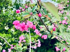 -广富林郊野公园