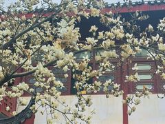 -堤角公园