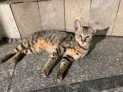 -南园酒家(前进路店)