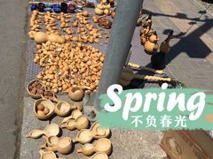 -蒲河大集