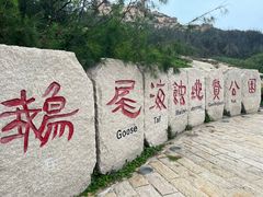 -湄洲岛