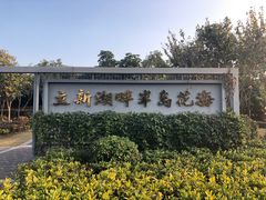 -立新湖公园