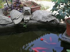 -膳和缘炒鸡店(南门路店)