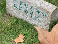 -月湖风景区