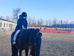 -北京群众马术培训基地
