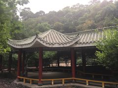 -金鸡山公园