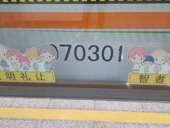 -杨高南路(地铁站)