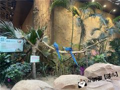 -杭州开元森泊度假乐园