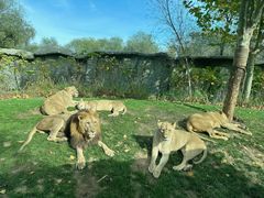 -北京野生动物园