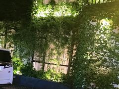 -溪畔•新徽菜(碧湖云溪店)