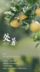 -雅曼妮spa美容养生