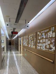 -上海首尔丽格医疗美容医院