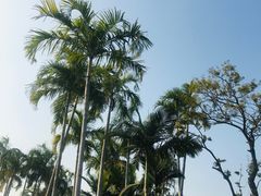 -宝安西湾红树林湿地公园