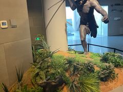 -北京周口店北京人遗址博物馆