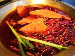 红锅-王婆乔鲜鱼自助火锅(蜀汉路店)