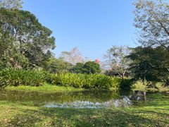 -中国科学院西双版纳热带植物园