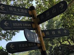-普陀山雷迪森庄园