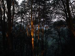 -西湖风景区十里琅珰-五云山