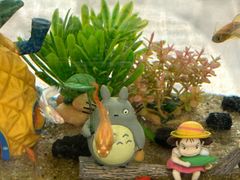 -猫头鹰照相馆(国贸店)