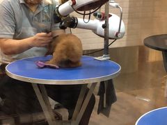 -PETKIT小佩宠物(古北店)