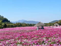 -径山花海