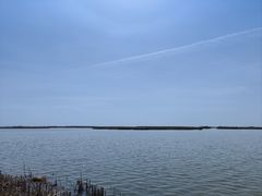 -哈素海