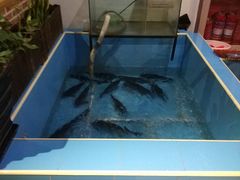 -金明姬铁锅炖(东坝店)