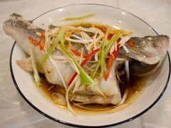 -田螺阿姨自营月嫂·育儿嫂(高新店)