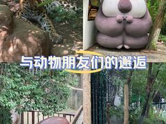 -红山森林动物园