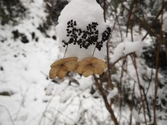 -九峰山