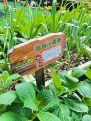 -可可天空农场(中大店)