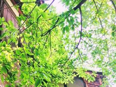 -涞滩古镇