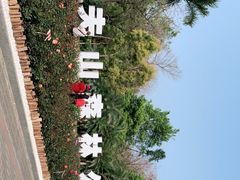 -番禺大夫山森林公园