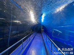 -太平洋海底世界