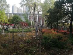 -武汉市第四中学