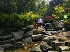 -大连植物园