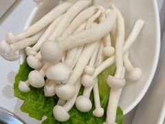 白玉菇-帝皇海海鲜豆捞(桐泾商务广场店)