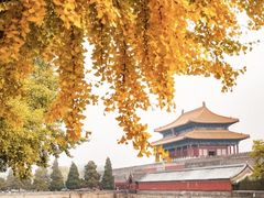 -B&C黄油与面包·THE GARDEN BAKERY概念店(世纪汇店)