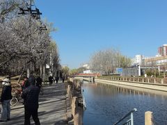 -元大都城垣遗址公园