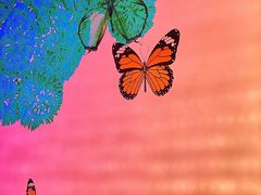 -蝴蝶里·粤菜·点心(滨江龙湖店)
