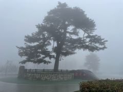 -秦岭终南山世界地质公园翠华山景区