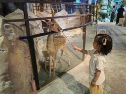 -酷嗒动物文化乐园(cutezoo西溪乐天城店)