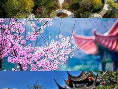 -桃花堤公园