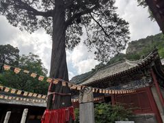 -北京上方山国家森林公园
