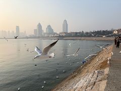 -即墨路小商品市场