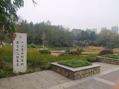 -重庆彩云湖湿地公园