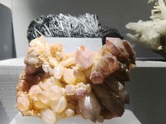 -湖南省地质博物馆