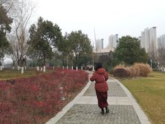 -九里河湿地公园