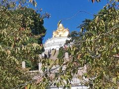 -苏州上方山国家森林公园